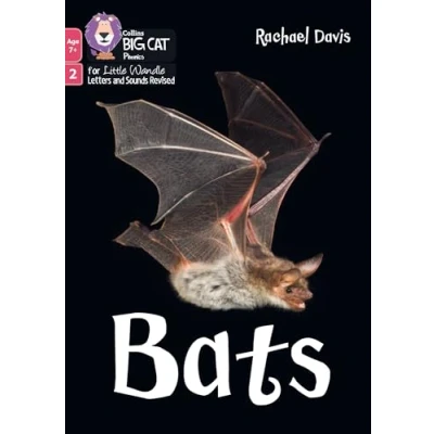 Afbeelding van Big Cat Phonics for Little Wandle Letters and Sounds Revised Age 7+ Bats