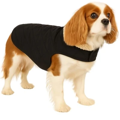 Afbeelding van Flamingo Hondenjas Bonnie zwart Maat 40 cm (A: 35 cm, B: 34 C: 54 60 cm) Ideaal voor Chihuahua, Teckel, Shih Tzu, Pug en Cavalier King Charles
