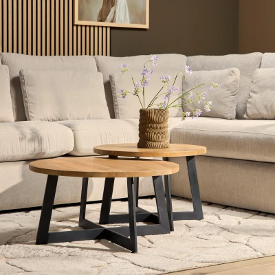 Afbeelding van Salontafel Mees set van 2 salontafels industrieel ronde