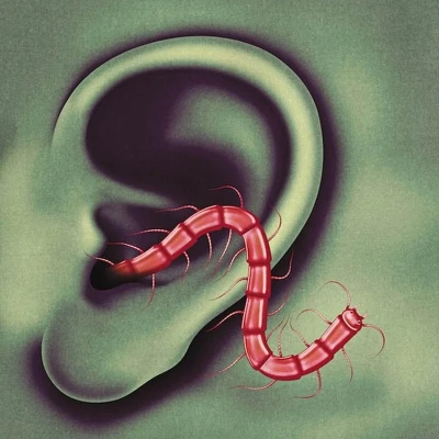 Afbeelding van Thee Oh Sees An Odd Entrances (CD)