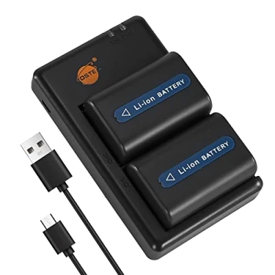 Afbeelding van DSTE 2 stuks NP FM55H FM50 (2300mAh/7.4V) batterijlader compatibel met Sony FM30, FM51, QM50, QM51, CCD TRV126, TRV128, TR208, TR408, TR748, TRV106 Camera