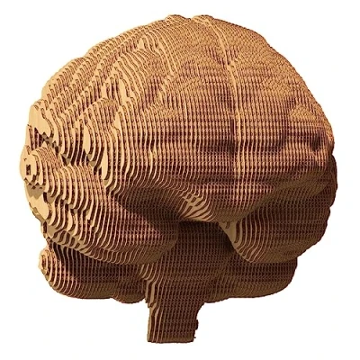 Afbeelding van CARTONIC 3D Puzzle Brain Puzzel decoratie kinderen volwassenen DIY