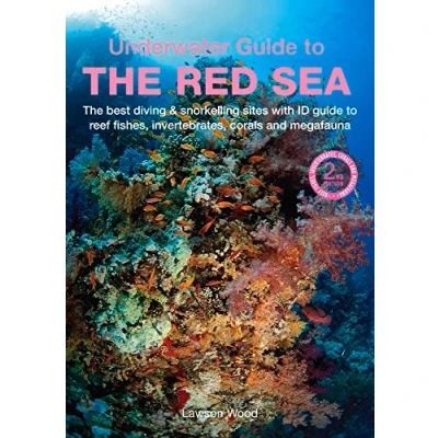 Afbeelding van An Underwater Guide to the Red Sea