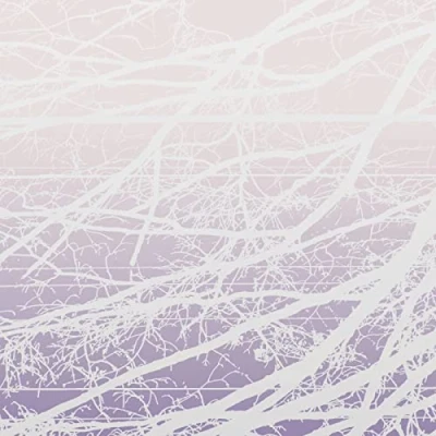 Afbeelding van Lea Bertucci Metal Aether / Resonant Field (2 LPs)