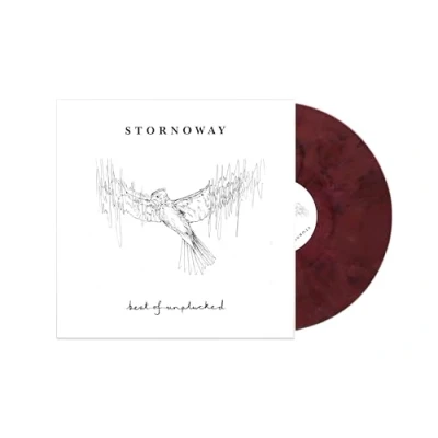 Afbeelding van Stornoway Best Of: Unplucked (LP)