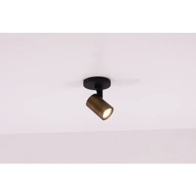 Afbeelding van Opbouwspot Aston ZwartBrons Metaal Rond GU10 1 voudig ⌀ 10cm