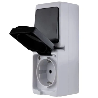 Afbeelding van REV AquaMini, MINI stopcontact A/W schakelcombi, 38% minder volume, IP54, tweepolig, opbouw, grijs