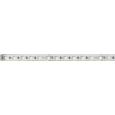 Afbeelding van PAULMANN MaxLED 500 LED strip instelbaar wit 100 cm zilver gecoat