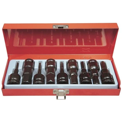 Afbeelding van Rodac RA8674 9 delige Krachtdoppenset Inbus 4 19mm 1/2&quot;