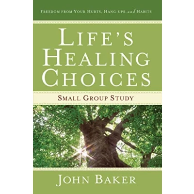 Afbeelding van Lifes Healing Choices Small Group Study