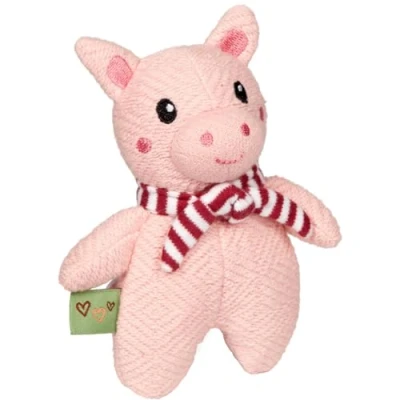 Afbeelding van Coppenrath Little Krakend varken Wonder