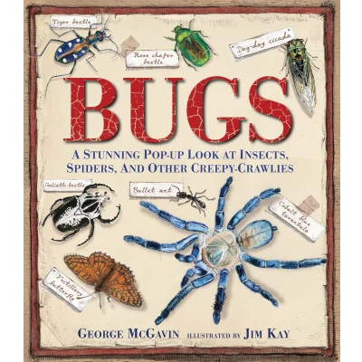 Afbeelding van Bugs: A Stunning Pop up Look at Insects, Spiders, and Other Creepy Crawlies