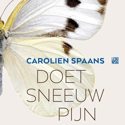Afbeelding van Doet sneeuw pijn