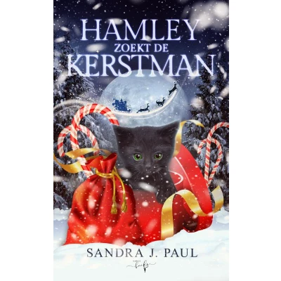 Afbeelding van Hamley zoekt de Kerstman (Hardback)