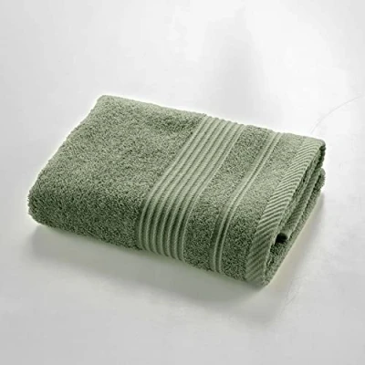 Afbeelding van Douceur d&#039;Intérieur, Handdoek, 50 x 90 cm, varenpatroon, 100% katoen, Tendresse