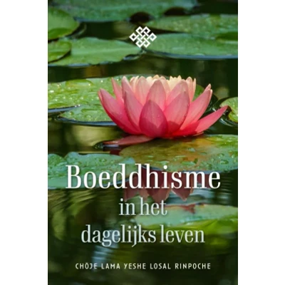 Afbeelding van Boeddhisme in het dagelijks leven (Paperback)