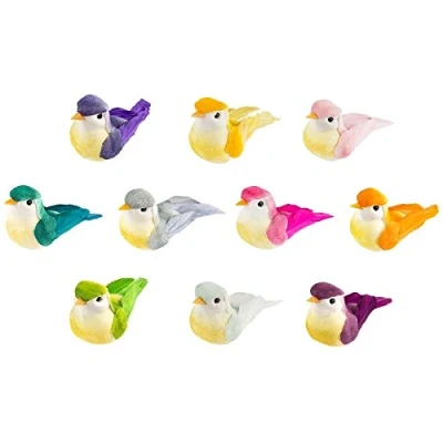 Afbeelding van Ideen mit Herz Decoratieve veervogels, 6 cm x 2,5 3 cm, kleurrijk, 10 stuks