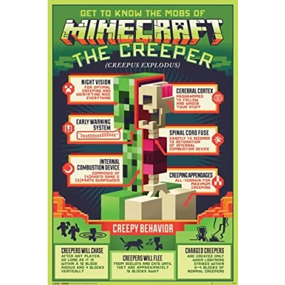 Afbeelding van Poster Creepy Behavior Minecraft