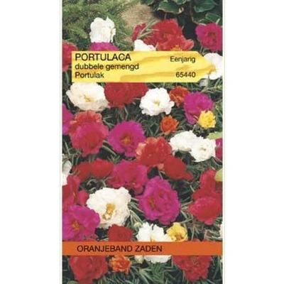 Afbeelding van Portulaca, Portulak dubbelbloemig gemengd