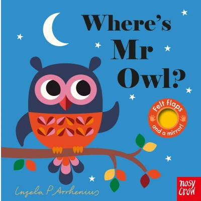 Afbeelding van Where&#039;s Mr Owl? (Felt Flaps)