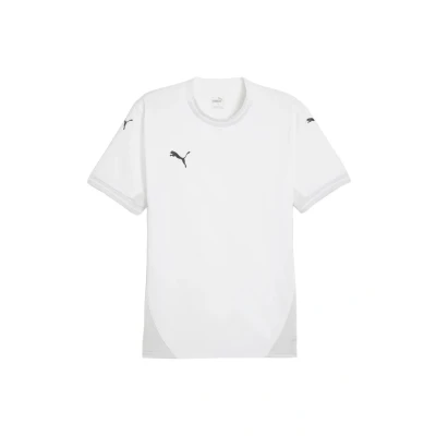 Afbeelding van Puma Teamsport Sport Tshirt, Heren, Maat: XL, Weissschwarzgrau