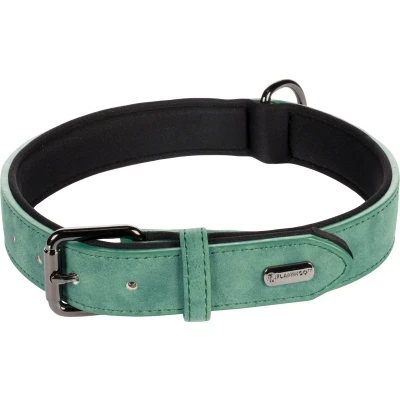 Afbeelding van Halsband Delu Groen