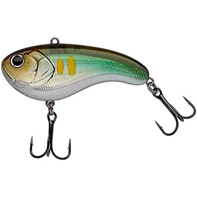Afbeelding van Berkley FlattShad Pike Hecht, Perch baars visaas