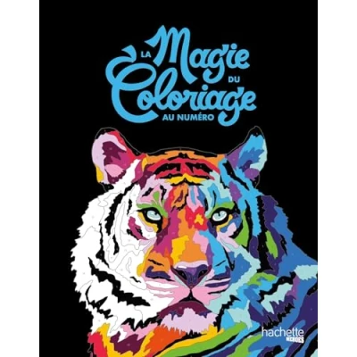 Afbeelding van La Magie du Coloriage au numéro hachette heroes Kleuren op nummer kleurboek