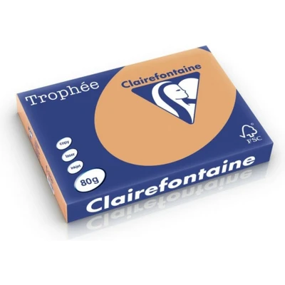 Afbeelding van Clairefontaine Trophée Pastel, gekleurd papier, A3, 80 g, 500 vel, mokkabruin 5 stuks