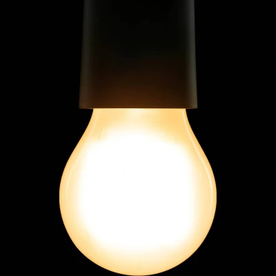 Afbeelding van SEGULA Bright LED lamp High Power E27 7,5W mat