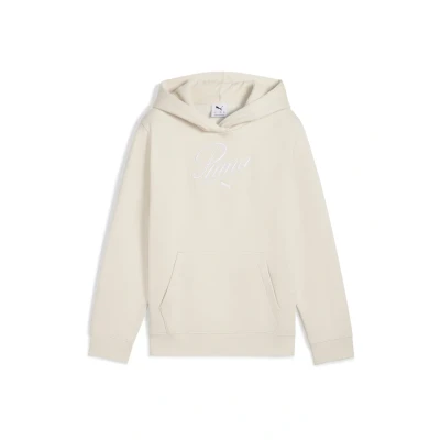 Afbeelding van Puma ESS Script Hoodie voor kinderen, Maat: 164, Alpine snow