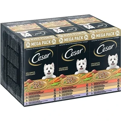 Afbeelding van Cesar Kuipjes Hondenvoer Landragout In Saus Multi pack 24 x 150 gr