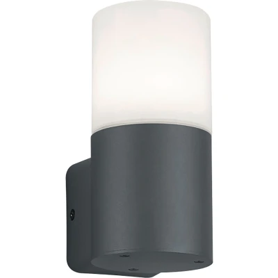 Afbeelding van TRIO HOOSIC Wandlamp Antraciet excl. 1xE27 28W Buitenverlichting IP44