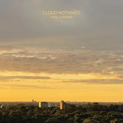 Afbeelding van Cloud Nothings Final Summer (LP)