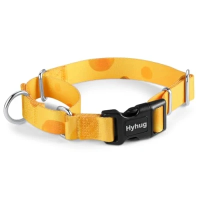 Afbeelding van Hyhug Huisdieren Verstelbare Martingale hondenhalsband met snelsluiting, kleurvast, zwaar belastbaar, anti ontsnapping, training, antislip puppyhalsband. (kaas, extra klein)