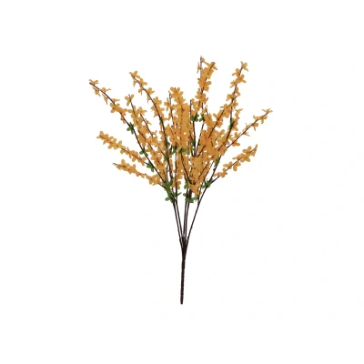 Afbeelding van Europalms voorsythia struik, 60cm
