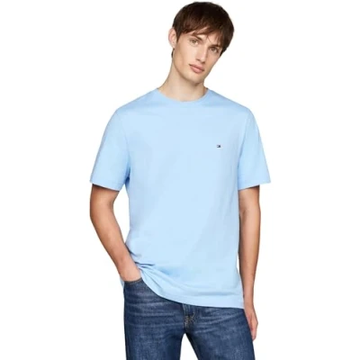 Afbeelding van Tommy Hilfiger Heren Essential REG FIT Solid TEE MW0MW37267, S/S T shirt, blauw, M, Blauw (Vessel Blue), M