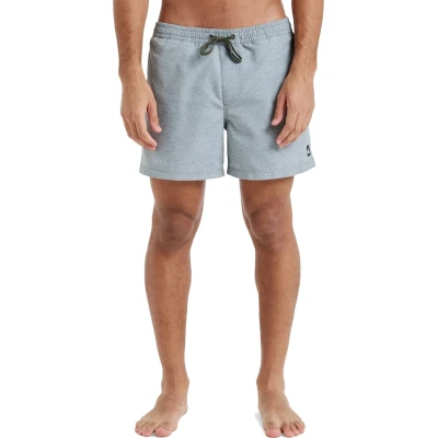 Afbeelding van Quiksilver Everyday Deluxe Volley Zwemshorts, Heren, Maat: XL, Grape leaf