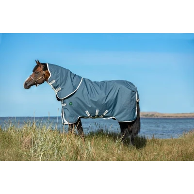 Afbeelding van Amigo Eco Bravo 12 Plus Turnout 100g Teal/Grijs 155/206