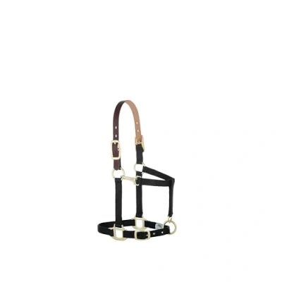 Afbeelding van Weaver Leather Verstelbare Breakaway Nylon Horse Halter, Zwart, Weanling/Pony
