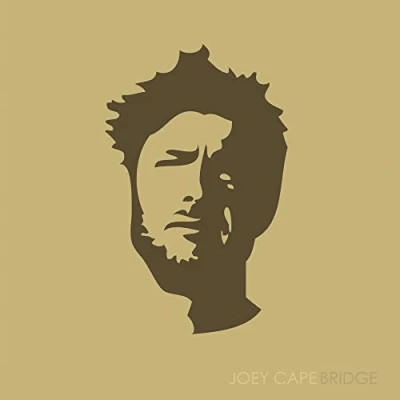 Afbeelding van Joey Cape Bridge (LP)