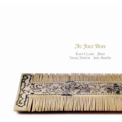 Afbeelding van Various Artists Au Joly Bois (CD)