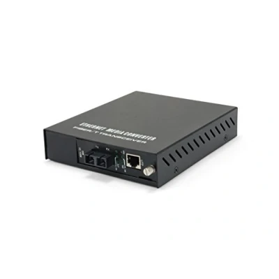 Afbeelding van LevelOne FVM 1101 100Mbit/s 1310nm Zwart netwerk media converter