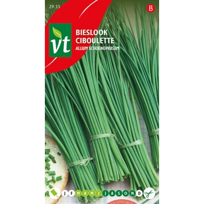 Afbeelding van Bieslook fijne Allium schoenoprasum Fris kruid, met een uiensmaak.