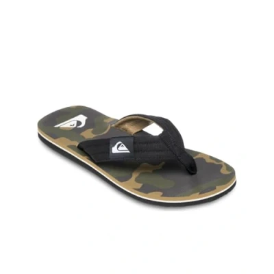 Afbeelding van Quiksilver Molokai Layback Teensandalen, Heren, Maat: 40, Beige Katoen