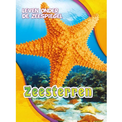 Afbeelding van Zeesterren
