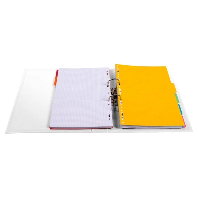 Afbeelding van 10 x Exacompta gekleurde ordner A4 50mm Pastel kleuren assorti