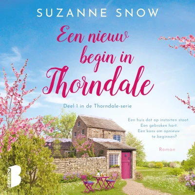 Afbeelding van Een nieuw begin in Thorndale