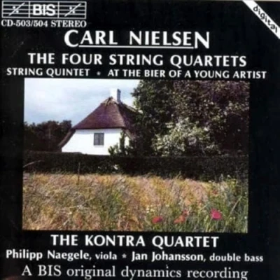 Afbeelding van Jan Johansson, Philipp Naegele, The Kontra Quartet Nielsen: String In G Minor (1888) (2 CD)