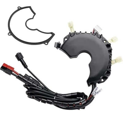 Afbeelding van BAFANG Controller 52V 1000W voor BBS HD middenmotor, elektrische fiets Mid Drive ombouwset, modern model